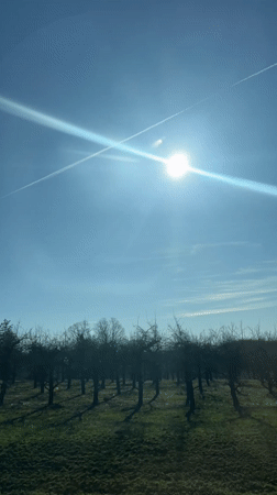 Aircraft contrails cross sunny spring sky over Wallkill