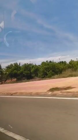 The video shows a view from a moving vehicle, possibly a bus or car, looking out the window at a roadside landscape. The road is visible in the foreground, appearing to be asphalt with a white line marking the edge. Beyond the road, there is a raised area with a light-colored, textured surface, possibly pavement or decorative stone. A line of trees and vegetation, including palm trees, runs along the top of this raised area. In the background, there is a clear blue sky with scattered white clouds. Further in the distance, several wind turbines are visible on the horizon. The lighting suggests it is daytime with bright sunlight. There are reflections on the window, indicating the camera is positioned inside the vehicle. The view is dynamic, showing the scenery passing by as the vehicle travels.