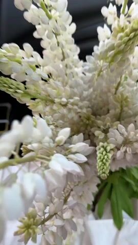 A close-up, shaky shot focuses on a bouquet of white lupine flowers in the passenger seat of a car. The flowers are tall and spiky, with many small blooms clustered together. In the background, out of focus, is the interior of the car and glimpses of the outside world through the windows. The scene appears to be a car ride through a rural area, as suggested by the greenery and the wooden building visible in the side mirror. The lighting suggests it is daytime, possibly late afternoon or early evening due to the golden hues in the reflection.
