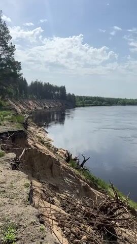 The video shows a wide river under a partly cloudy sky. The river is a dark color, reflecting the sky. The banks of the river are sandy and eroded, with tree roots exposed. Trees line the edge of the riverbank and extend inland.
