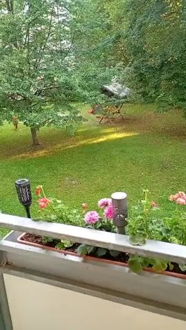 The video shows a view from a balcony overlooking a green grassy yard with trees and a picnic table in the background. The balcony has a planter box filled with flowers, including pink dahlias and red geraniums. Two solar-powered garden lights are also visible in the planter box. The lighting suggests it is daytime.