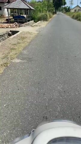 The video is a first-person perspective shot from a moving vehicle, likely a motorcycle or bicycle, traveling down a paved road. The road is asphalt and appears to be in good condition. On the left side of the road, there is a dirt shoulder with some sparse vegetation and a small, open-sided structure with a corrugated metal roof, possibly a shelter or rest stop. Further down the road on the left, there are trees and some taller grasses. On the right side of the road, there is a field, likely agricultural, with some crops visible. In the distance, there are houses with blue roofs and utility poles. The sky is clear and blue, indicating a sunny day. The overall environment suggests a rural or semi-rural setting. There are no people visible in the frame. The camera is pointed forward, capturing the road ahead and the surrounding scenery. The motion of the vehicle creates a sense of travel.