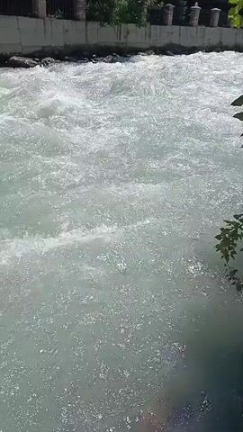 A fast-flowing river with whitewater rapids is visible. The river is bordered by a concrete embankment with a stone wall and decorative posts on the left side. Trees are visible behind the wall. Green leaves from an overhanging branch are in the upper right corner of the frame. The water is a light, almost milky blue-gray color, and appears to be turbulent with many small waves and splashes. The lighting suggests it is daytime, likely sunny, as there are reflections on the water's surface.