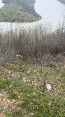 Rural Bulgaria countryside scenes with river and grazing goats
