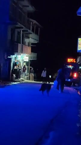 A street scene at night with blue lighting. A black dog walks across the street. Several people are visible near shops on the left side of the street. A vehicle with an illuminated sign that reads "THE HILLS RIDE" is parked on the right side of the street.