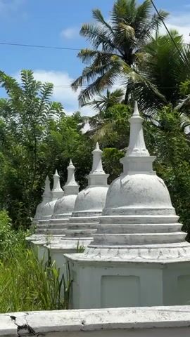 The camera shows a row of five small, white stupas. They sit on top of a low white wall. Green grass grows in front of the wall. The stupas are surrounded by green trees. A palm tree is visible in the background. The sky is blue with some white clouds.