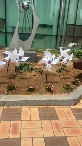A row of white pinwheels, each adorned with the Korean flag, are planted in a garden bed in front of a modern building. The pinwheels are spaced evenly and appear to be spinning in a gentle breeze. Behind the pinwheels, a large, abstract sculpture with metallic elements stands against the building's glass facade. The building has large, reflective windows that show a cloudy sky and some greenery outside. The garden bed is bordered by a stone curb and a paved walkway made of orange and brown rectangular tiles. Small pink flowers are scattered throughout the garden bed, adding pops of color. The scene appears to be outdoors during the daytime, with overcast skies suggesting it might be a mild or slightly humid day. There are no people visible in the frame. The overall impression is one of a clean, modern, and perhaps slightly commemorative outdoor space.