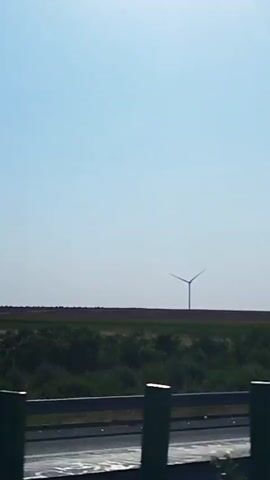 This is a vertical, POV video taken from a vehicle moving alongside a highway. A bright, clear sky dominates the upper portion of the frame. In the middle ground, a wide, flat field is visible, with a single wind turbine standing in the distance. Below the field, a line of green trees and foliage stretches horizontally across the scene. The foreground is occupied by the edge of the highway, with a dark asphalt road and a metallic guardrail, painted in sections of dark grey and bright green. The guardrail's vertical posts are prominent in the foreground, obscuring a small portion of the view. The video shows a static scene with no people or discernible actions.