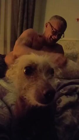 The video opens with a close-up of a dog's face. The dog appears to be a Chinese Crested, with a sparse coat of white fur on its head and a hairless body. Its eyes are dark and its nose is visible. In the background, a man wearing glasses and appearing to be shirtless is sitting on a bed. He is facing the dog and appears to be interacting with it. The environment looks like a bedroom, with a curtain visible in the background. The lighting is dim.