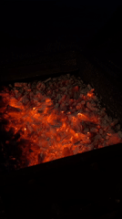 Witness captures evening scenes of glowing coals and rose blossom