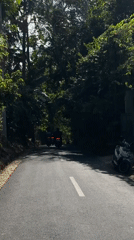 Motorcycles and scooter travel forest road in Kediri