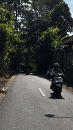 Motorcycles and scooter travel forest road in Kediri