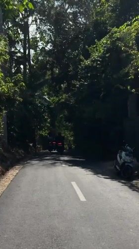 Motorcycles and scooter travel forest road in Kediri