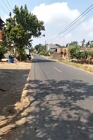 A paved road in a rural or suburban area is shown on a sunny day. Trees and houses are visible on the sides of the road, with power lines overhead. Several motorcycles are traveling on the road. In the foreground, the road surface is cracked and shaded by trees. In the middle ground, a red motorcycle with two riders passes by. In the background, other motorcycles are visible, and construction appears to be taking place at a building.
