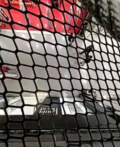 Here is a description of the video:

The video shows a view through a black, hexagonal wire mesh fence. Behind the fence, there's a scene with visible objects and people. The foreground features a sign with the words "Bata Shoe" printed on it. In the background, there are several figures walking around, some of whom appear to be employees, possibly in a store setting. A red display case is also visible in the background.