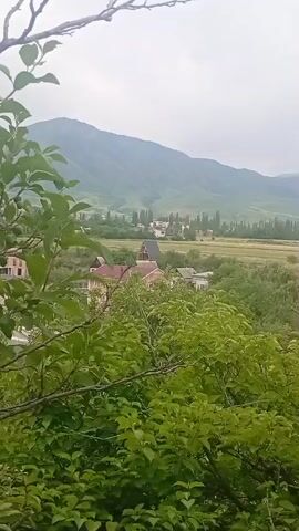 A video opens on a scenic view of a village nestled in a valley, framed by lush green foliage in the foreground. In the distance, rolling hills transition into towering mountains under a hazy, overcast sky. The village itself appears to be a collection of houses with red roofs, interspersed with trees. A narrow road winds through the scene, with more trees lining the landscape. The overall impression is one of a peaceful rural setting, possibly in a mountainous region. The video is brief, showing a static image without any discernable movement or action.