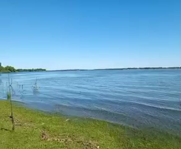 The video shows a serene, wide-angle view of a calm body of water under a clear, blue sky. A grassy shoreline is visible in the foreground, with some sparse vegetation near the water's edge.  A fishing rod is placed on the grassy bank. The water extends to the horizon, where a faint line of trees can be seen. There are slight ripples on the surface of the water, suggesting a gentle breeze. The camera appears stationary.