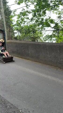 Here is a description of the video:

The video shows a man and a woman riding in a wicker toboggan. Two men, wearing straw hats and white pants, are pushing the toboggan down a paved road. The road is lined with a stone wall and trees. In the last seconds of the video, a yellow van with blue stripes drives by.