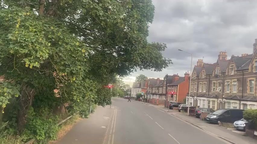 A residential street with terraced houses on the right side. A large tree with green leaves is on the left side of the frame. The street is paved, and there are cars parked along the right side. Two traffic lights are visible, both showing red. A single pedestrian is crossing the street in the distance. The sky is overcast.