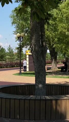 The video shows a park scene on a sunny day. In the foreground, there is a circular wooden bench around a tree trunk. To the left, a person wearing a plaid shirt stands near a lamppost and a yellow structure. In the middle ground, a statue of a person on a horse is visible, with another person sitting nearby. The background consists of lush green trees and grass, with a pathway winding through the park. The camera pans slightly to the right, revealing more trees and a modern black structure with wooden elements, possibly part of a garden feature.
