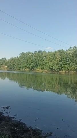 A calm river flows through a wooded area under a clear blue sky. The trees on the opposite bank cast reflections on the water's surface. In the foreground, the muddy bank of the river is visible. There are no people or animals visible in the scene. The time stamp indicates the video is at the beginning of its recording.