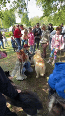 Families gather with reindeer and dogs in Russian park