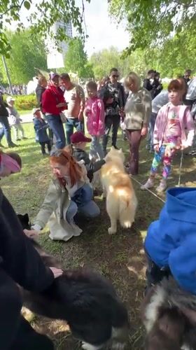 Families gather with reindeer and dogs in Russian park