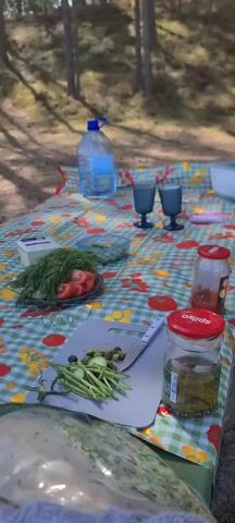 The video shows a picnic setup in a wooded area. The scene is focused on a picnic blanket laid out on the ground, covered with a colorful checkered pattern with tomato and floral designs.  

Several food items and utensils are arranged on the blanket. A plate holds sliced tomatoes and a bunch of dill. A chopping board has green beans, capers, and olives on it, alongside a knife. There are two jars with red lids, labeled "Spilva," containing preserved foods. A bottle of water and two blue-tinted glasses are also visible. The background shows trees and sunlight filtering through the leaves.