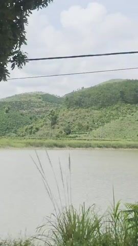 The video shows a ride through a rural landscape, seemingly from a moving vehicle. Initially, a lake is visible with a mountain in the background. A tree with a poster attached is then shown. Next, a building with signs for motorcycle sales ("MY YAMAHA" and "PHƯỚC MY XE MÁY XE ĐIỆN HONDA") is visible. The final shot is a dense green landscape, with lush vegetation and hills in the distance. The sky is overcast throughout the video.
