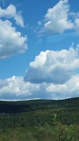 The media file captures a scenic view from a moving vehicle, likely a car, traveling along a road in Valea Brazilor, Romania. The perspective is tilted, giving a dynamic feel to the footage. 

The primary subjects include a bright blue sky filled with fluffy white clouds, suggesting pleasant weather. The landscape on the right side of the frame consists of a lush green forest that slopes down towards a field of dry, golden grass. A portion of a road or path is visible running alongside the field. In the distance, some scattered houses with red roofs hint at a small rural settlement nestled within the valley.

A notable object in the foreground is a green road sign with white lettering. The sign reads "Valea Tutana" and includes a symbol that appears to be three wavy lines, possibly indicating a river or water body nearby. This sign provides a clear location cue for the area.

The time of day appears to be daytime, given the bright sunlight illuminating the sky and landscape. There are no people visible in the media file. The overall emotion conveyed is one of peaceful travel through a picturesque natural setting. The tilted angle and the passing scenery suggest a journey in progress, with the viewer experiencing the surroundings from the perspective of a passenger.