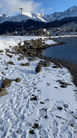 Ushuaia, Argentina