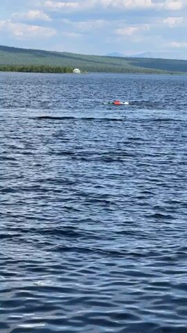 A person is swimming in a large body of water. The person is wearing an orange float around their waist. The water is calm with small ripples. In the distance, there is a shoreline with trees and a white dome-shaped structure. The sky is partly cloudy.
