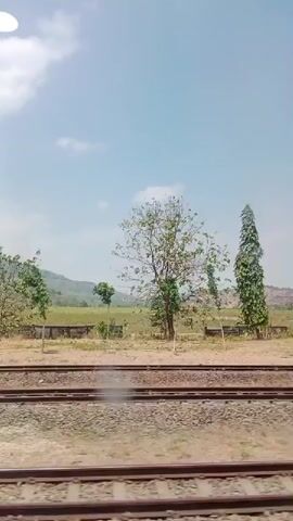 The video captures a train journey, with the camera looking out the window at a landscape passing by. The view consists of railway tracks in the foreground, with a dry, grassy embankment beyond. Several trees of varying sizes and foliage are scattered across the landscape. In the background, there appears to be a gentle, rolling terrain, possibly hills, under a bright, clear sky with a few scattered clouds. The lighting suggests it is daytime, likely midday, given the brightness and shadows. There are no people visible in the frame, and the primary action is the movement of the train, indicated by the passing scenery. The environment appears to be rural or semi-rural, characterized by open land, vegetation, and railway infrastructure.