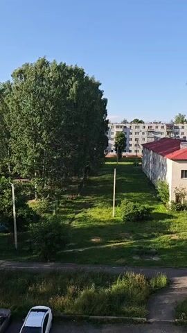 This is a vertical video, likely filmed from a window or balcony, showing a view of a residential area in Zaklinye, Russia. The time of day appears to be late afternoon or early evening, given the long shadows cast by the trees and buildings, and the bright, clear blue sky. The weather is pleasant, sunny, and calm.

The scene is dominated by a large, lush green tree on the left, casting a significant shadow. Beyond the tree, a grassy area stretches towards a row of apartment buildings. One building in the foreground is a long, white structure with a red-tiled roof. Behind it, a taller, multi-story apartment building with many windows is visible. The overall impression is of a typical Soviet-era housing complex, with ample green space between buildings.

In the foreground, there is a paved area, possibly a road or parking lot, with some greenery growing along the edges. A white car is parked in the lower left corner of the frame. A few utility poles with wires are also visible, one near the large tree and another further into the grassy area. The overall mood is peaceful and quiet, suggesting a typical day in a residential neighborhood. There are no people visible in the video.