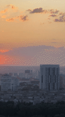 Sunset aerial view captured over Mokino, Russia cityscape