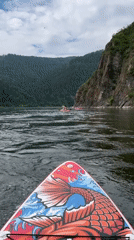 Group paddleboarding the Mana River with a dog in tow