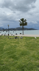 Waterfront park scene captured in Turkey with mountains backdrop