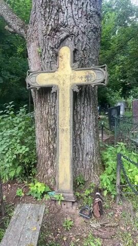 A handheld video pans up and zooms in on an ornate, weathered golden cross leaning against the trunk of a large tree. The cross has decorative elements and appears to be made of metal, with some peeling paint. The tree trunk is rough and textured. In the background, out of focus, other grave markers and greenery are visible, suggesting the location is a cemetery. The overall lighting is natural daylight, indicating an outdoor setting.