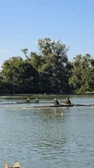 Rowing competition held on lake with multiple teams racing