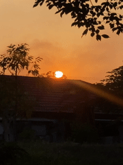 Sunset over Banjarbaru's rooftops, framed through trees