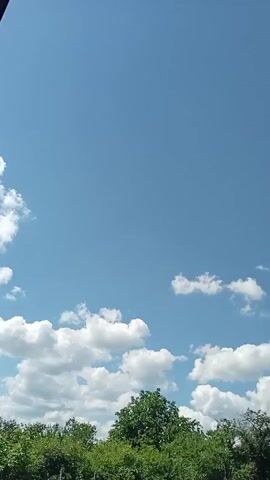 A video begins with a wide shot of a bright blue sky dotted with scattered white clouds. Below the sky, the tops of lush green trees fill the bottom portion of the frame. As the video progresses, the camera pans slightly to the right, revealing a glimpse of a white-tiled roof of a building peeking through the trees. The clouds continue to drift across the sky, with some appearing larger and more defined than others. The scene appears to be a serene outdoor environment on a clear day.
