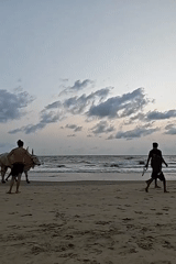 Beach walks, street art, and daily moments captured