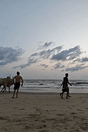 Beach walks, street art, and daily moments captured