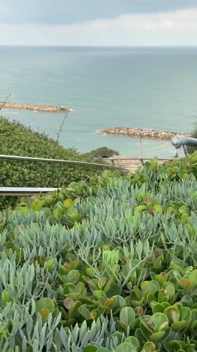 Early morning coastal scenes captured along Netanya beachfront