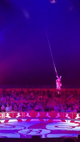 A female aerialist in a red costume performs a routine suspended from a hoop in a circus tent. The hoop is attached to a long cable that extends to the ceiling of the tent. The aerialist is upside down, with her legs extended and her arms holding onto the hoop. She is performing a graceful pose, with her body arched. The audience is seated in tiered seating around the circus ring, and they are watching the performance. The circus tent is lit with purple and blue lights, and there is a disco ball hanging from the ceiling. The circus ring is decorated with a red and white striped border and a pattern of horses on the floor.