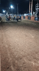 Nighttime rodeo draws crowds in Tinaquillo, Venezuela