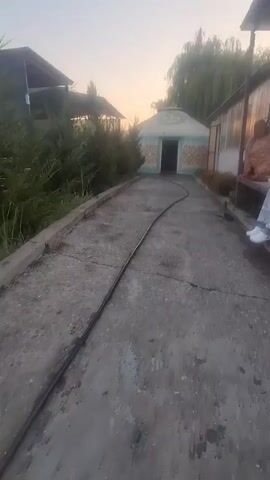 A slightly shaky, low-angle video captures an outdoor scene at dusk. A curved path made of cracked concrete runs from the foreground towards a round, yurt-like building in the middle distance. A black hose snakes along the path, curving towards the building. On either side of the path are lush green trees and bushes. To the left, a covered structure with a dark roof is visible. To the right, a long building with glass panels lines the path, and some orange flowers bloom near its base. The sky above is a pale gradient of orange and blue, suggesting the setting sun. The yurt has a decorative pattern around its base and an open doorway.