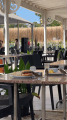 Lunch at a Kemer café, sparrows included