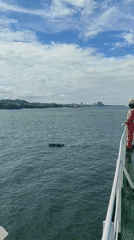 Maritime traffic documented off Indonesian coast during routine operations