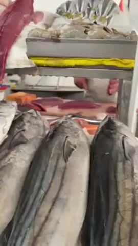 A stationary shot shows a fishmonger expertly slicing through a piece of tuna behind a display of fresh fish. Positioned in the foreground, several large, silvery-grey fish are laid out on ice. Above the fish, on the upper tier of the display, slices of vibrant red tuna are arranged on a cutting board. A person in a white uniform and apron can be seen behind the cutting board, carefully using a knife to prepare the fish. Next to the tuna slices, fresh shrimp and other seafood are displayed on ice. The scene takes place in what appears to be a bustling fish market.
